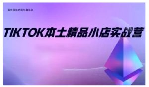 TikTok本土精品小店出海实战营，从入门到高阶，不止0-1!-网创星球