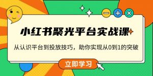 小红书 聚光平台实战课，从认识平台到投放技巧，助你实现从0到1的突破-网创星球