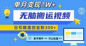 无脑搬运视频号可批量复制，新手即可操作，日引精准创业粉300+，月变现过W 【揭秘】-网创星球