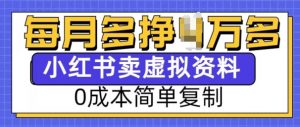 小红书虚拟资料项目,0成本简单复制,每个月多挣1W【揭秘】-网创星球