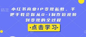 小红书商业IP变现私教,手把手教会你从0-1制作短视频到变现的全过程-网创星球
