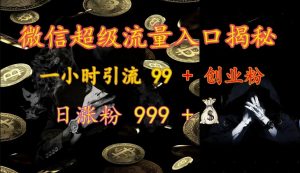 微信超级流量入口揭秘：一小时引流 99 + 创业粉，日涨粉 999 +-网创星球