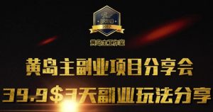 黄岛主副业分享会1期：3天3个副业玩法，速度上车-网创星球