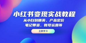 小红书变现实战教程:从小白到精英,产品定价,笔记带货,账号运营等-网创星球