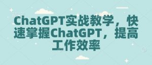 ChatGPT实战教学，快速掌握ChatGPT，提高工作效率-网创星球