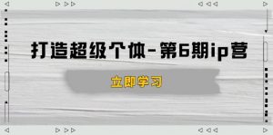 打造 超级个体-第6期ip营：商业认知,产品设计,成交演练,解决知识变现难题-网创星球