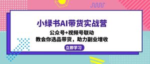 小绿书AI带货实战营：公众号+视频号联动，教会你选品带货，助力副业增收-网创星球