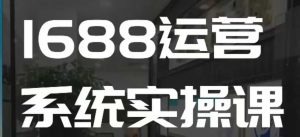 1688高阶运营系统实操课，快速掌握1688店铺运营的核心玩法-网创星球