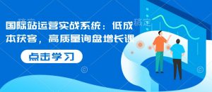 国际站运营实战系统：低成本获客，高质量询盘增长课-网创星球
