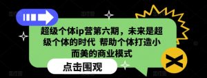 超级个体ip营第六期，未来是超级个体的时代  帮助个体打造小而美的商业模式-网创星球