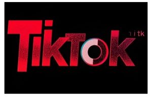 TikTok ads投流秘籍，涵盖tiktok整体投放思路，教你搭建测试计划-网创星球