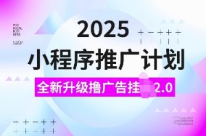 2025小程序推广计划,全新升级撸广告挂JI2.0玩法,日入多张,小白可做【揭秘】-网创星球