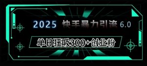 2025年快手6.0保姆级教程震撼来袭,单日狂吸300+精准创业粉-网创星球