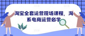 淘宝全套运营现场课程，淘系电商运营必学-网创星球