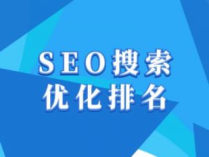 抖音搜索SEO教程，抖音SEO搜索优化排名-网创星球
