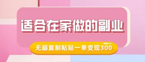 适合在家做的副业，小红书冷知识账号，无脑复制粘贴一单变现300-网创星球