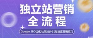 独立站营销全流程，Google SEO优化，社媒站外引流，独家营销技巧-网创星球