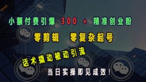 小额付费引爆 300 + 精准创业粉,零剪辑、零复杂起号,话术撬动被动引流,当日实操即见成效-网创星球