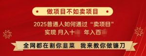 必看,做项目不如卖项目,2025普通人如何通过“卖项目”实现月入十个,年入百个-网创星球