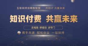 别人苦寻无果，为何他们靠知识付费卖项目 2025 年轻松年入100个?【揭秘】-网创星球