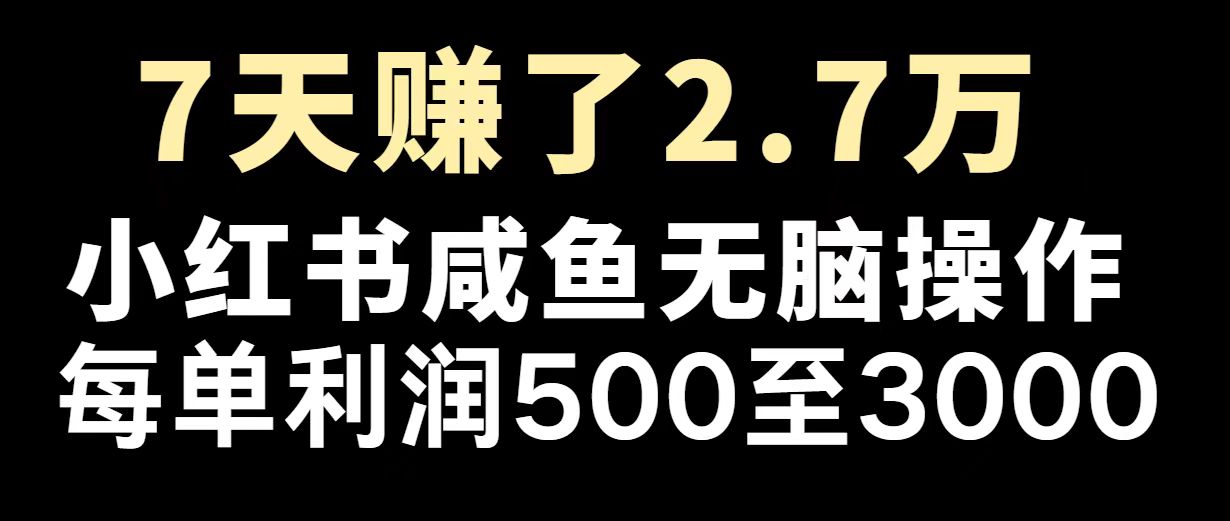 最赚钱项目之一，2025爆火，逆风翻盘！-网创星球