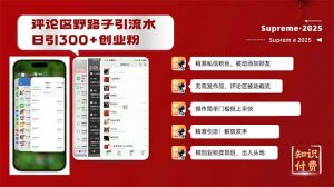 评论区野路子截流创业粉新方法，日被动加300+创业粉，精准引流被动添加...-网创星球
