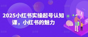 2025小红书实操起号认知课，小红书的魅力-网创星球
