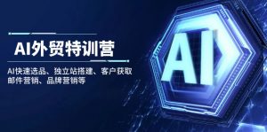 AI外贸特训营:AI快速选品、独立站搭建、客户获取、邮件营销、品牌营销等-网创星球