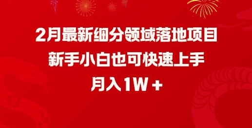 2月最新细分领域落地项目,新手小白也可快速上手,月入1W-网创星球