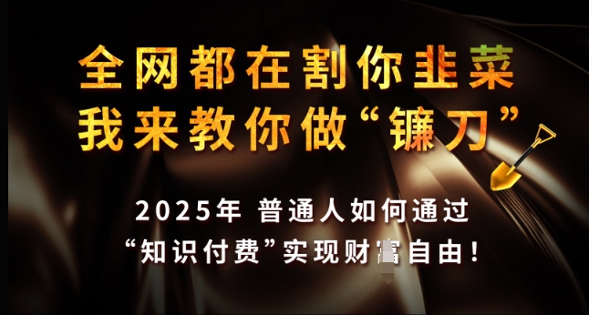 全网都在割你韭菜,我来教你做镰刀,2025年普通人如何通过 知识付费 实现财F自由【揭秘】-网创星球