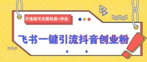 飞书一键引流抖音创业粉，不违规可 无限私信+评论-网创星球