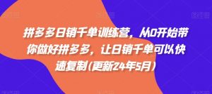 拼多多日销千单训练营，从0开始带你做好拼多多，让日销千单可以快速复制(更新25年2月)-网创星球