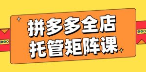 拼多多全店托管矩阵课，盈利动销玩法，高效计划设置，提升店铺效益-网创星球