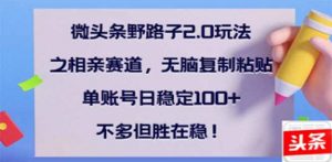 微头条野路子2.0玩法之相亲赛道，无脑搬砖复制粘贴，单账号日稳定300+...-网创星球