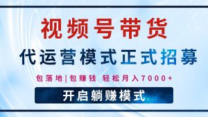 【视频号代运营】全程托管计划招募，躺赚模式，单月轻松变现7000+-网创星球