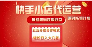 快手小店代运营，被动躺Z收益，收益五五分，单日稳定变现五张【揭秘】-网创星球