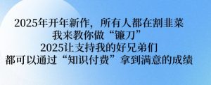 2025年开年新作，所有人都在割韭菜，我来教你做“镰刀” 2025让支持我的好兄弟们都可以通过“知识付费”拿到满意的成绩【揭秘】-网创星球