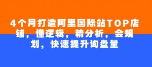 4个月打造阿里国际站TOP店铺，懂逻辑，精分析，会规划，快速提升询盘量-网创星球