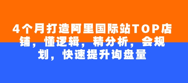 4个月打造阿里国际站TOP店铺,懂逻辑,精分析,会规划,快速提升询盘量-网创星球