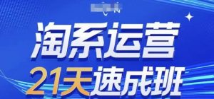 淘系运营21天速成班(更新25年2月)，0基础轻松搞定淘系运营，不做假把式-网创星球