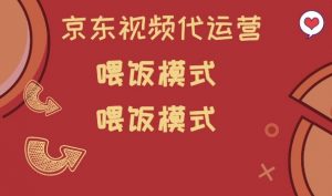 京东短视频代运营，喂饭模式，小白轻松上手【揭秘】-网创星球