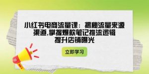 小红书电商流量课：揭秘流量来源渠道,掌握爆款笔记推流逻辑,提升店铺曝光-网创星球