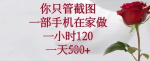 你只管截图，一部手机在家做，一小时120.一天5张【揭秘】-网创星球