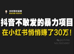 抖音不敢发的暴利项目,在小红书悄悄挣了30W-网创星球