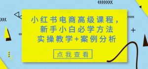 小红书电商高级课程，新手小白必学方法，实操教学+案例分析-网创星球