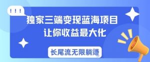 独家三端运营蓝海项目,让你收入最大化,长尾流无限躺挣-网创星球