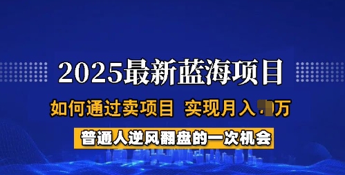 2025蓝海项目,普通人如何通过卖项目,实现月入过W,全过程【揭秘】-网创星球