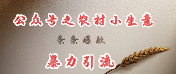 deepseek写农村小项目,条条爆款,暴力引流-网创星球