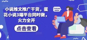 小说推文推广干货，蛋花小说3端平台同时做，火力全开-网创星球