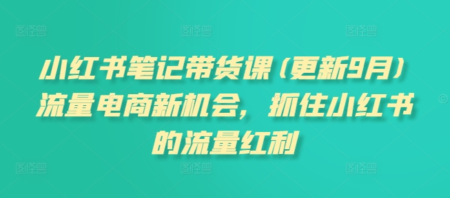 小红书笔记带货课(更新25年3月)流量电商新机会,抓住小红书的流量红利-网创星球